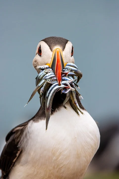 new simulation games mobile